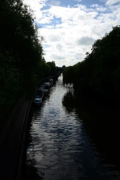 DSC_2685 (Large).JPG